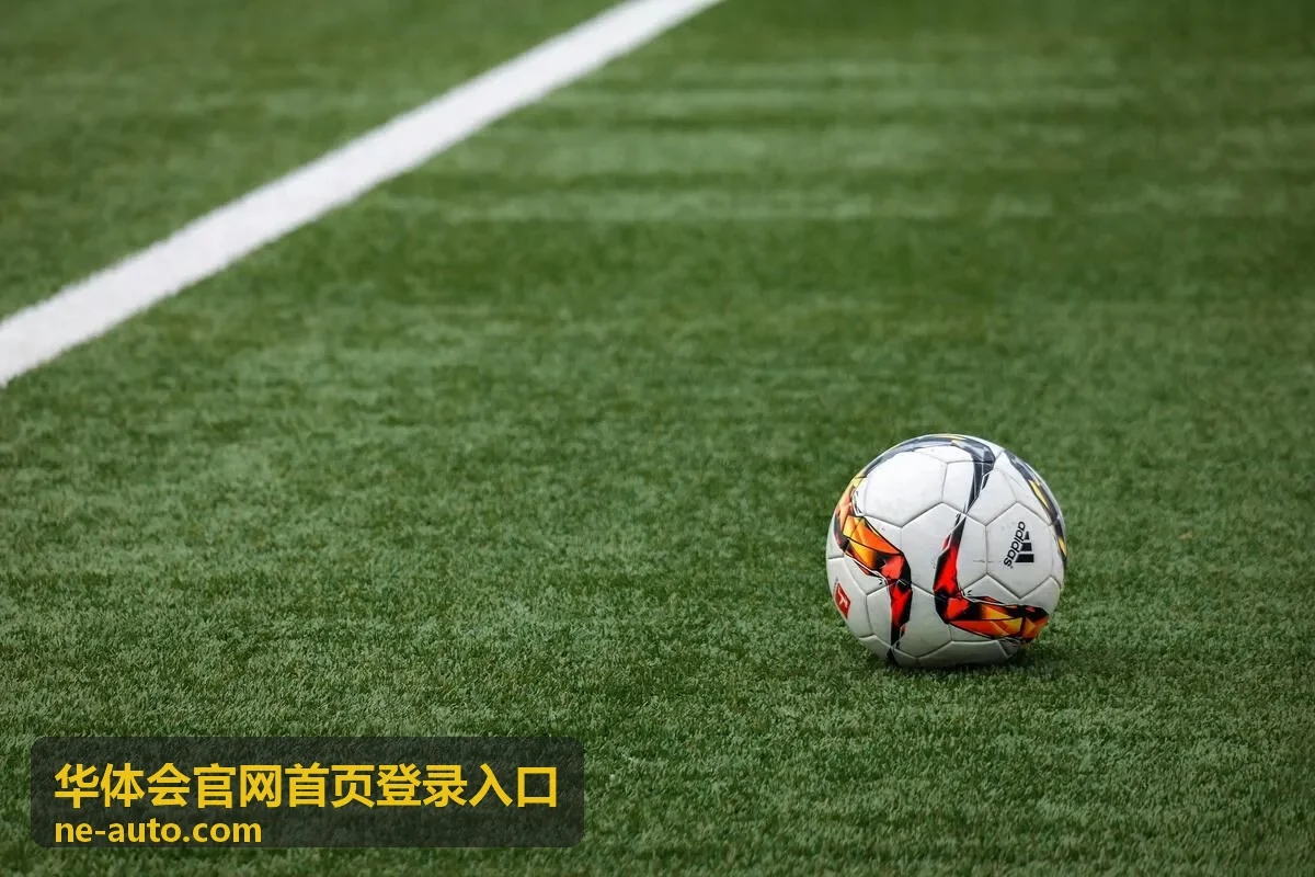 华体会官网首页登录入口客户端下载前的存储与网络检查