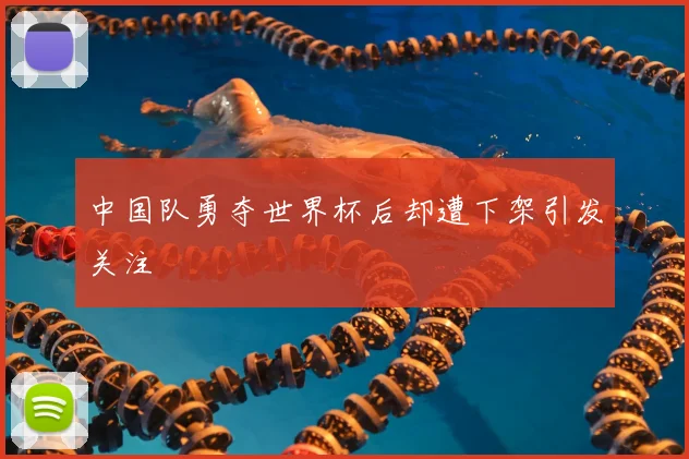 中国队勇夺世界杯后却遭下架引发关注