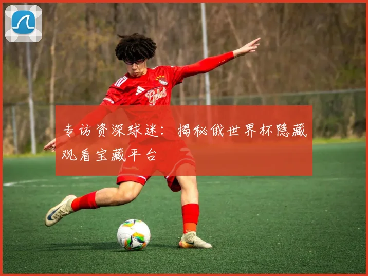 专访资深球迷:揭秘俄世界杯隐藏观看宝藏平台