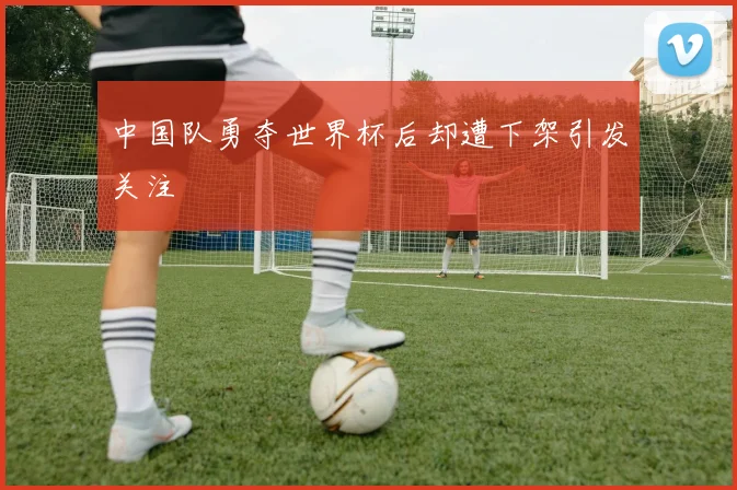 中国队勇夺世界杯后却遭下架引发关注