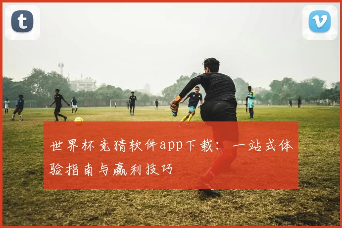 世界杯竞猜软件app下载：一站式体验指南与赢利技巧