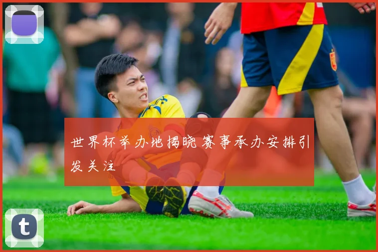 世界杯举办地揭晓 赛事承办安排引发关注