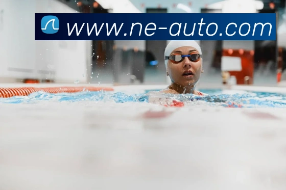 mksports在线登录入口平台生态图